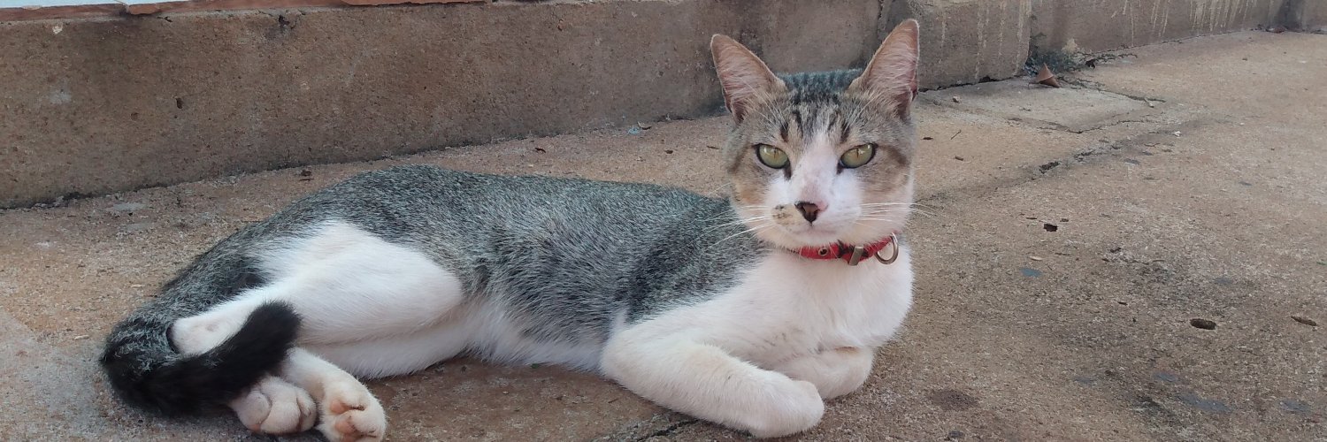 Ramirezzfernand's profile banner image