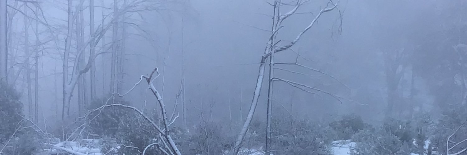 SimonCrazzy's profile banner image