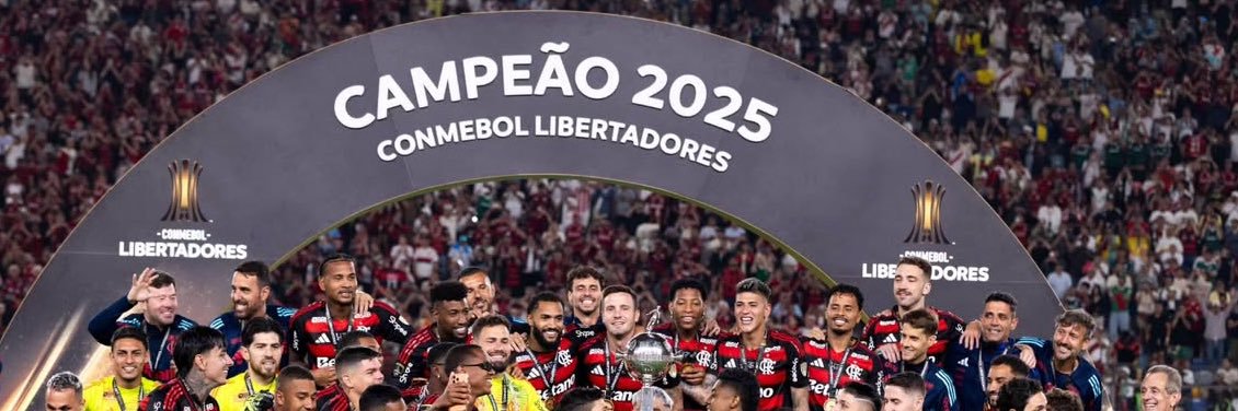 raryninha 💫 banner