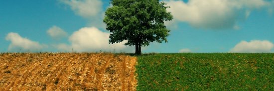 nizzle drizzle banner