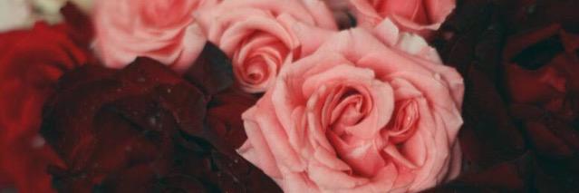 JenGuadalupe's profile banner image