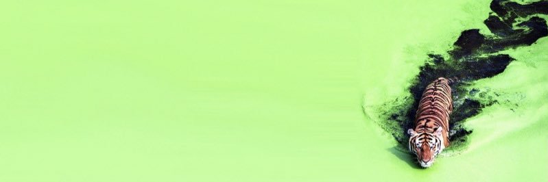 GetItLexiee's profile banner image