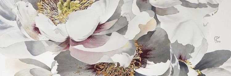 francyfsac's profile banner image