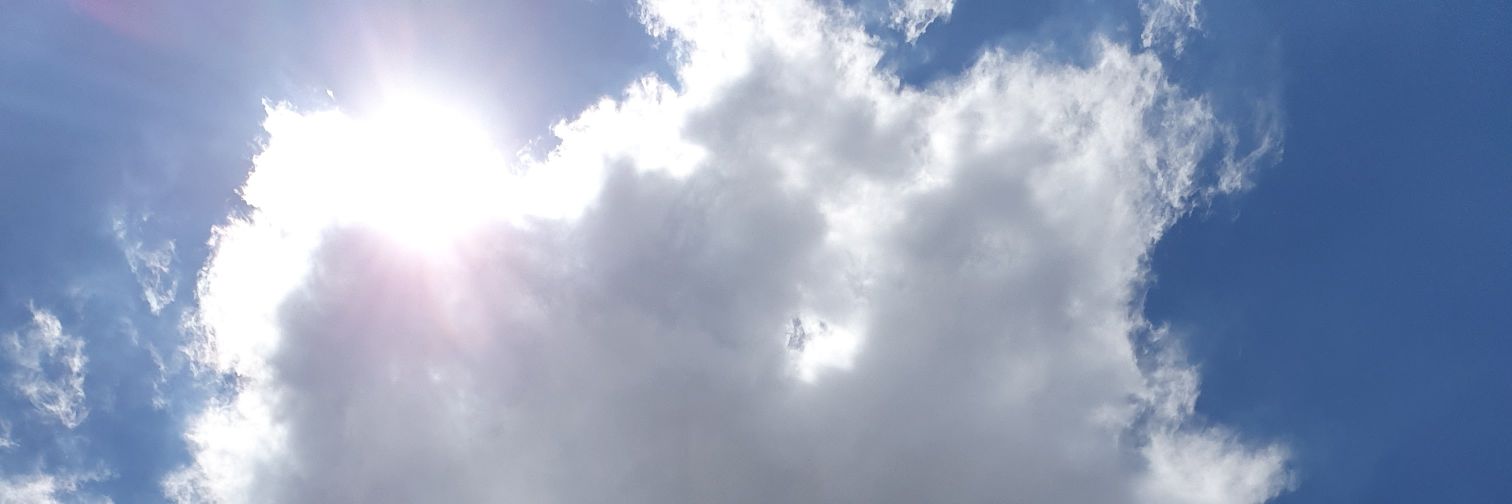 Fesantoni's profile banner image