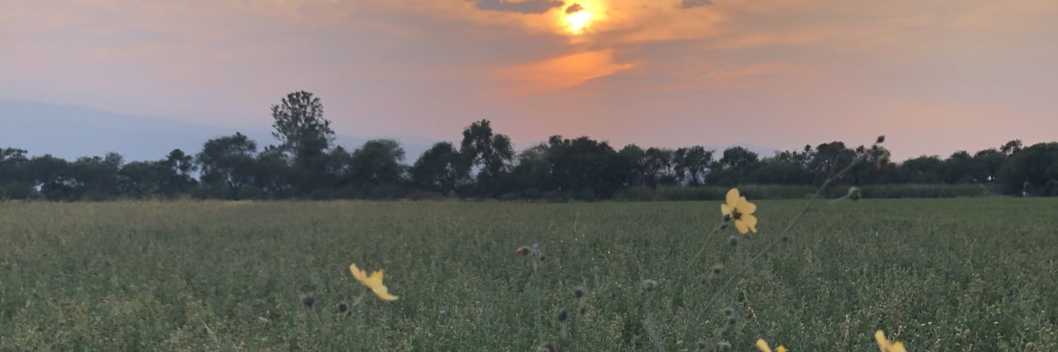 EliasBarCo's profile banner image