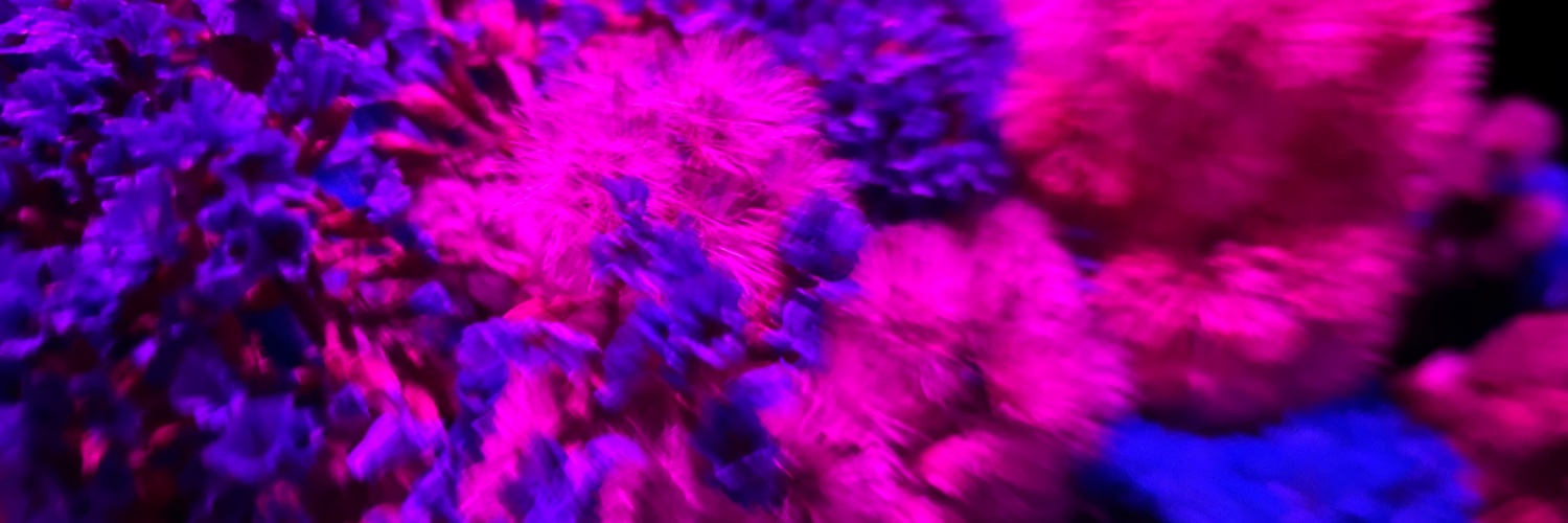 Mriafullofgrace's profile banner image