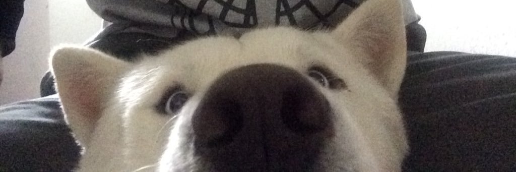 ChipsMeow's profile banner image