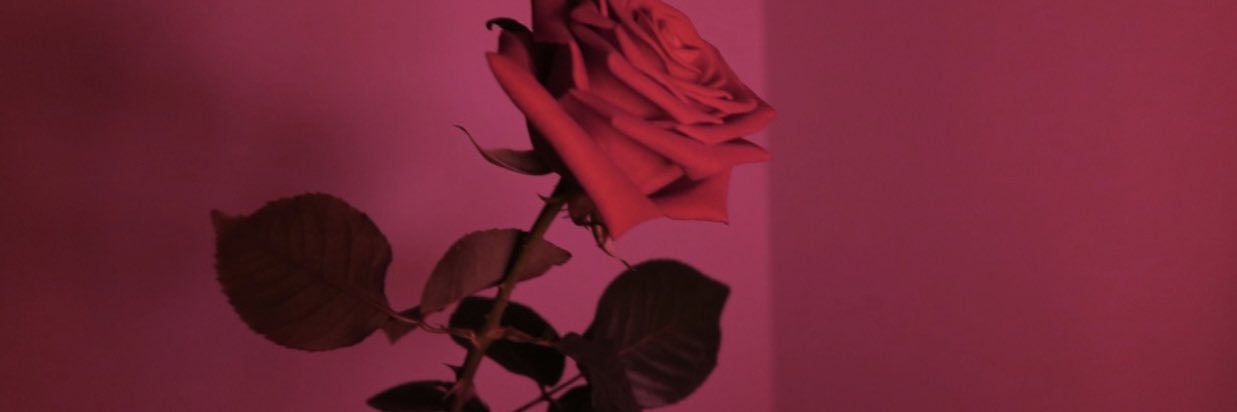HighMa22's profile banner image