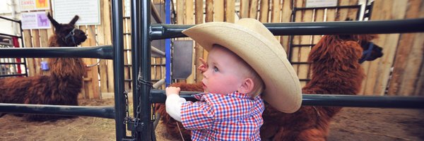 stampedeag Profile Banner