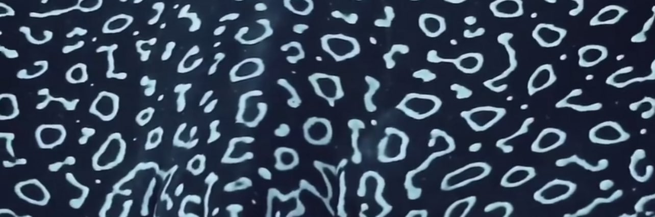 Jozi South Africa banner