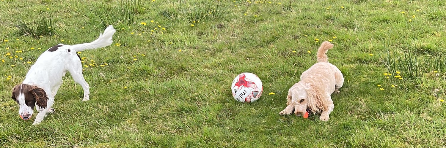 Jamie MacGregor banner