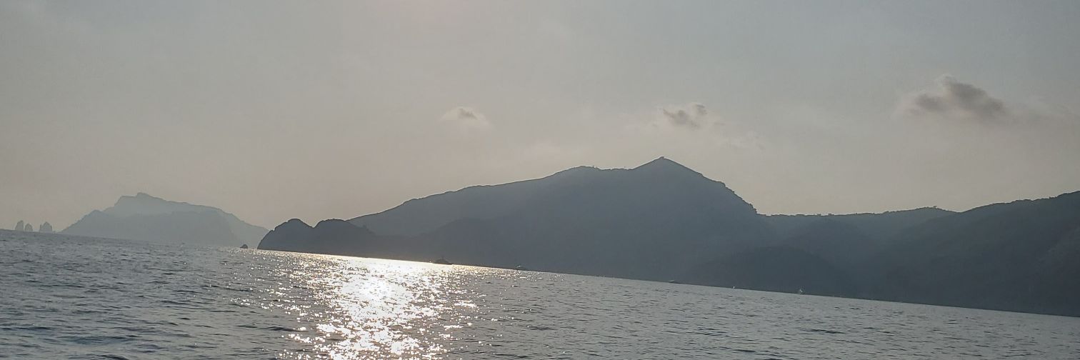 ShellMall's profile banner image
