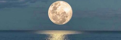 ⚖️ عبدالرحمن⚖️ 🇰🇼 banner