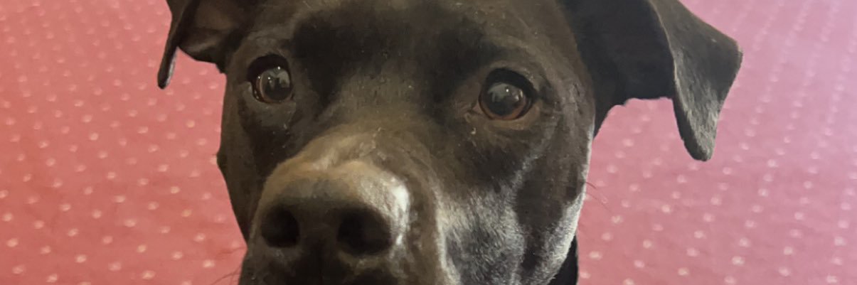 Dnutter237's profile banner image