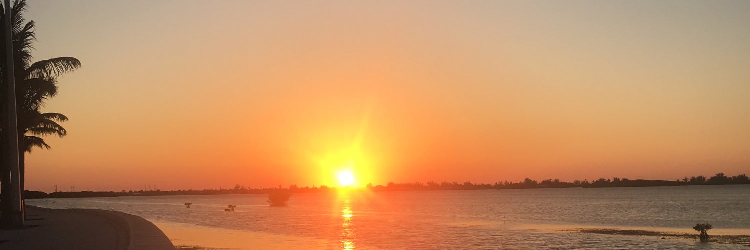 abbeyrocque's profile banner image