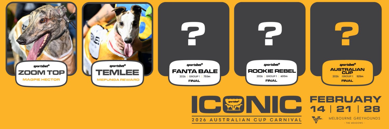 Melbourne Greyhounds - The Meadows banner