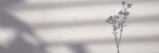 caitshull's profile banner image
