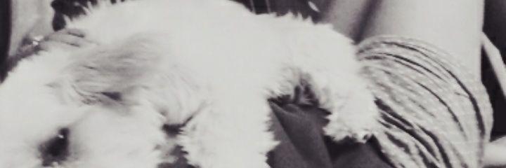 lau21ra's profile banner image