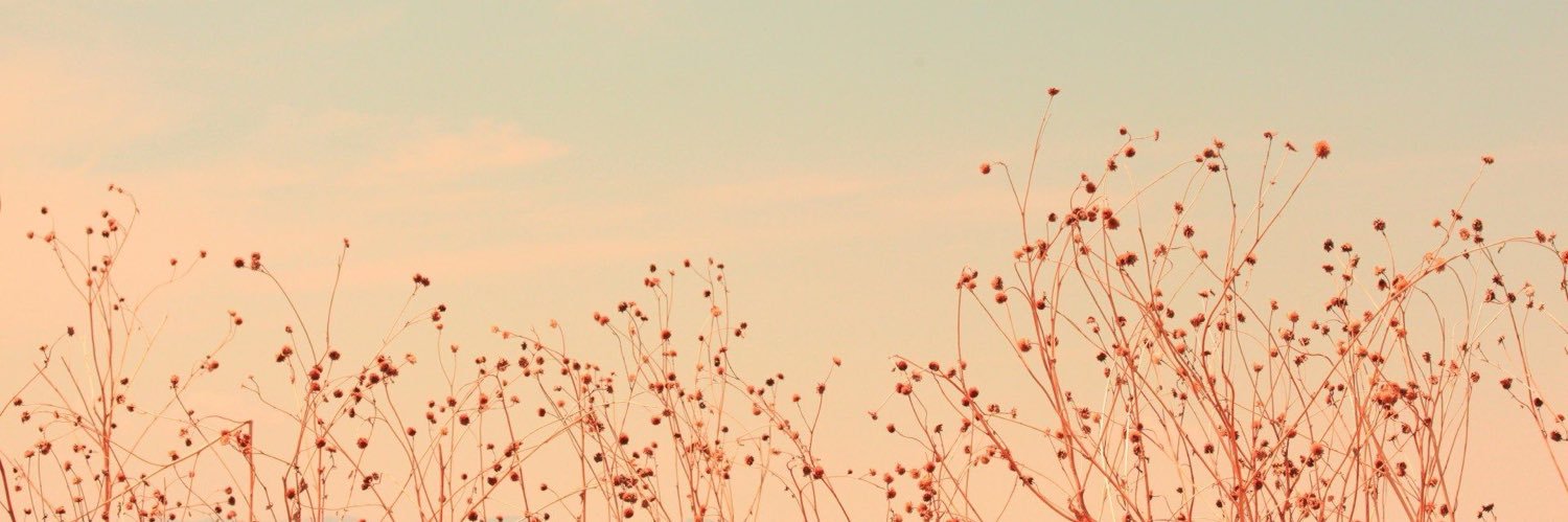 krishcletz's profile banner image