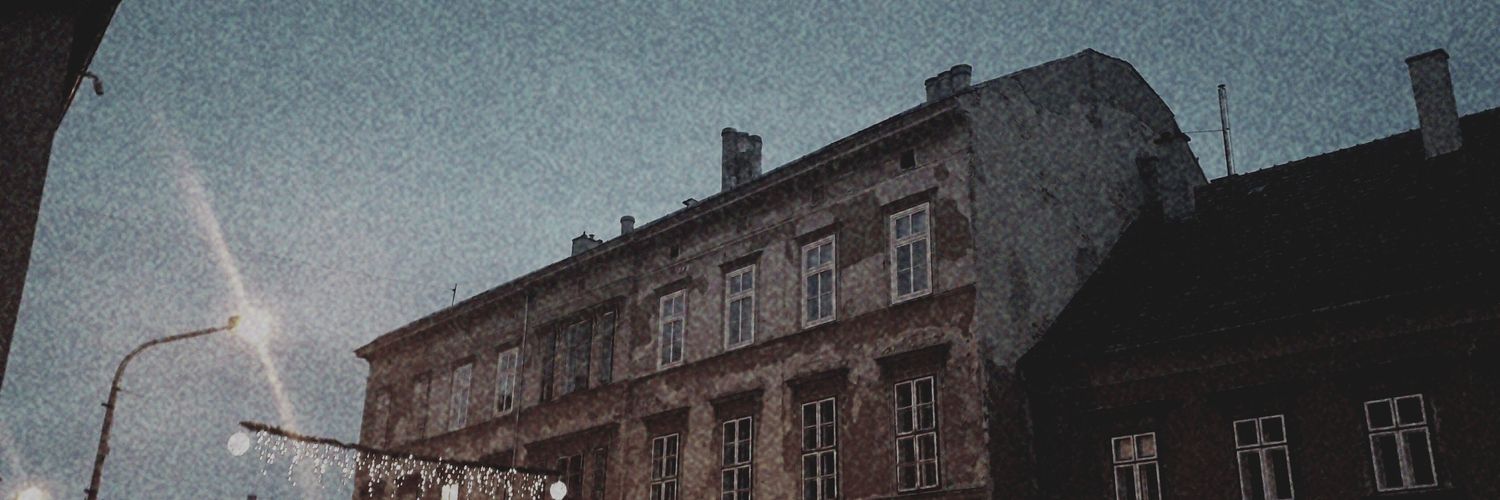 dmarigolds's profile banner image