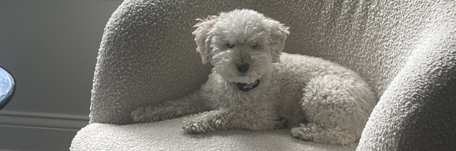 John Gerstner 🇺🇸 banner