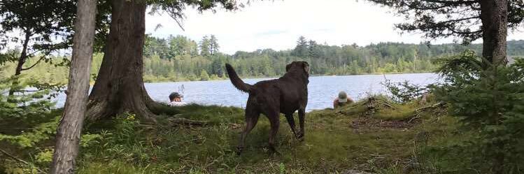 m_russeau13's profile banner image