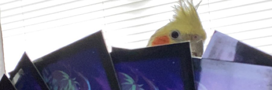 MyNameIsJawknee's profile banner image