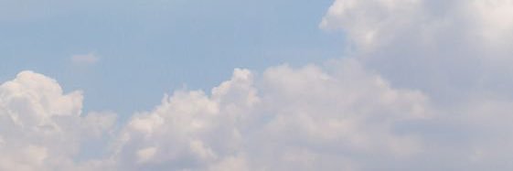 katdawg✨'s banner