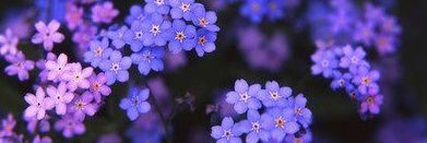 JBeel_'s profile banner image