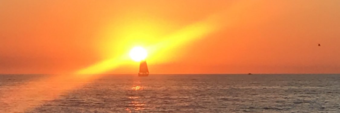 tj_decoste's profile banner image