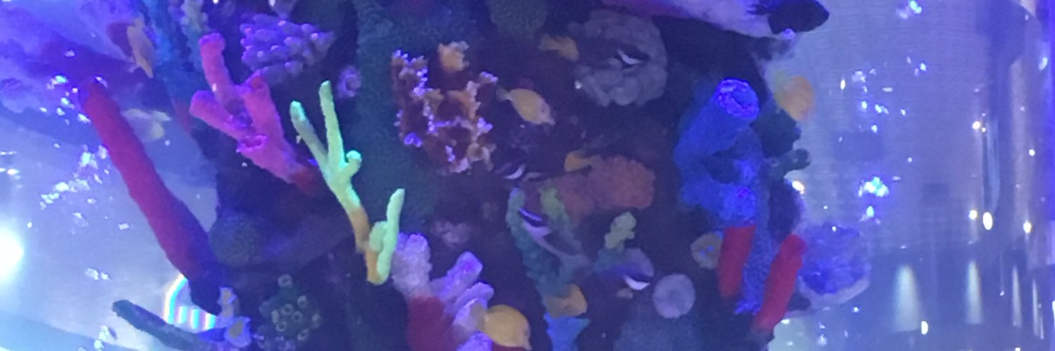 AndamiArdilla's profile banner image