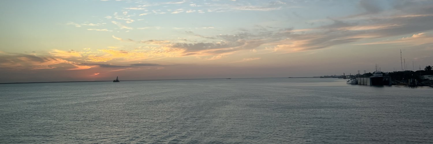 mniic's profile banner image