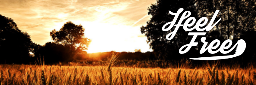 MuhammadMirza02's profile banner image