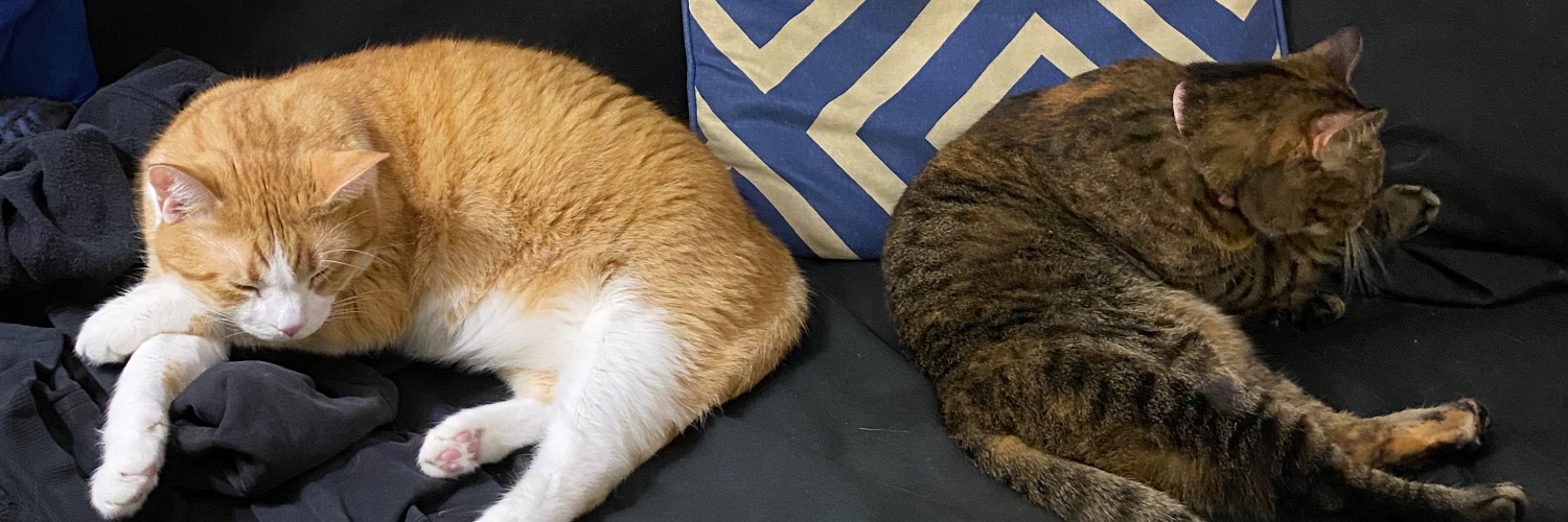 ScottNorsy's profile banner image