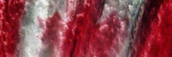 Acdngirl Profile Banner