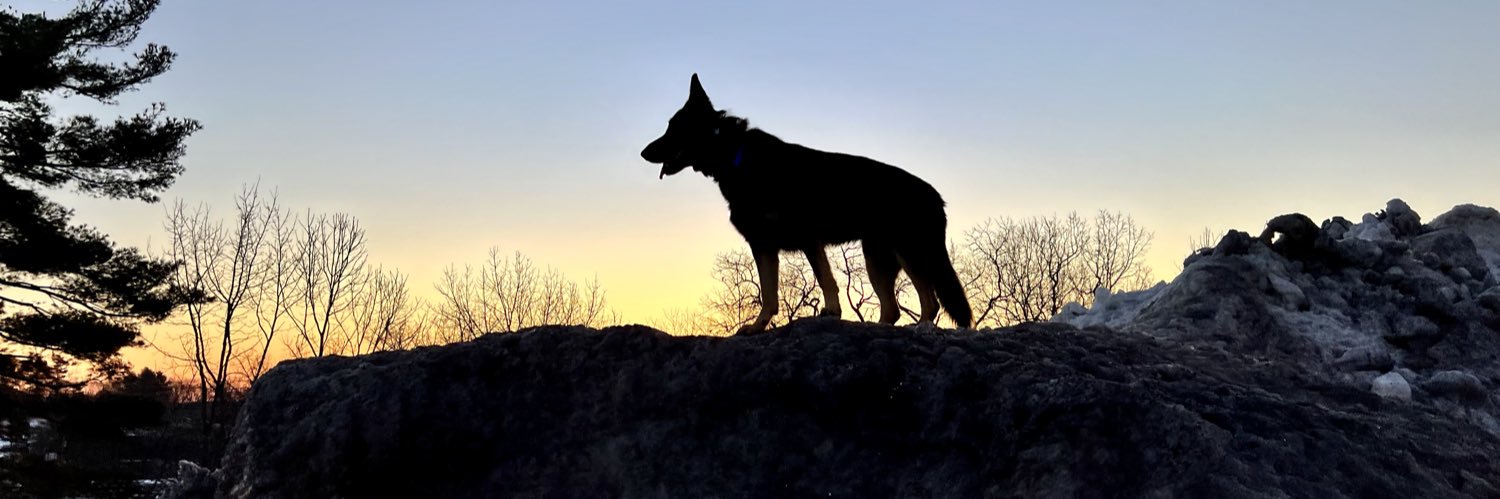 kpapili's profile banner image