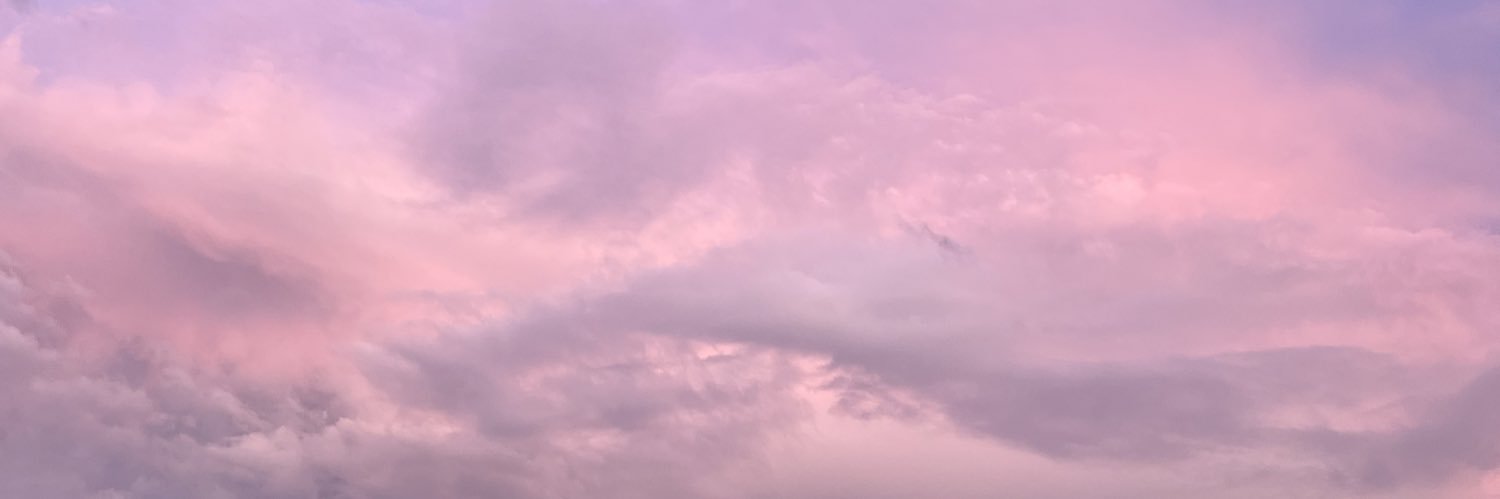 carleeadison's profile banner image