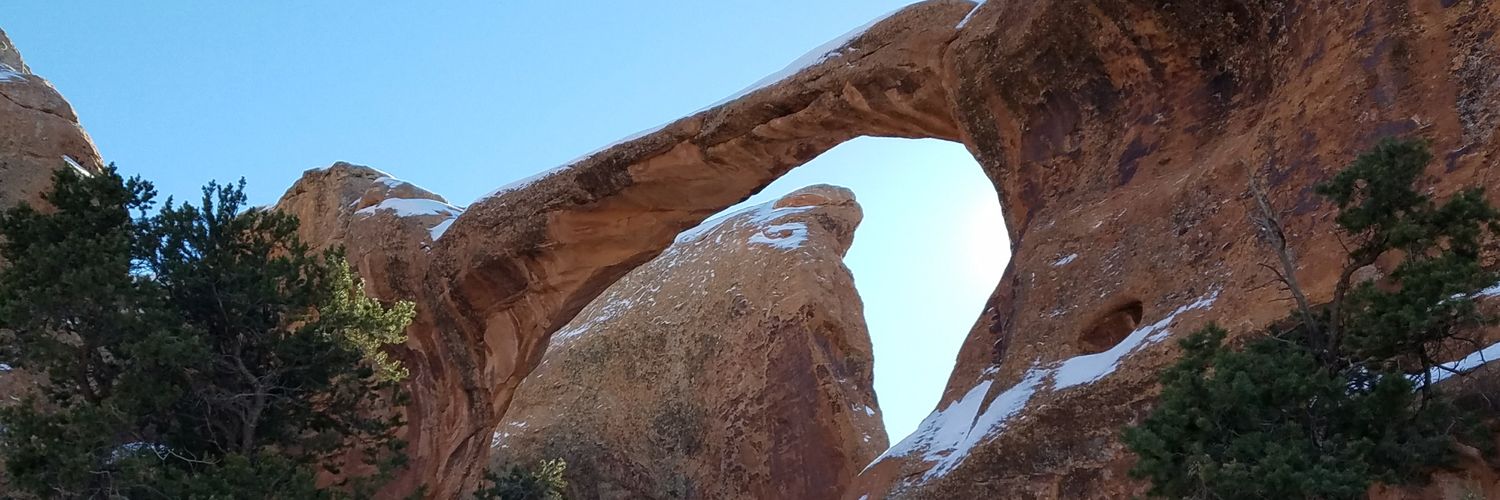 Nick Janusch 🇸🇱 banner