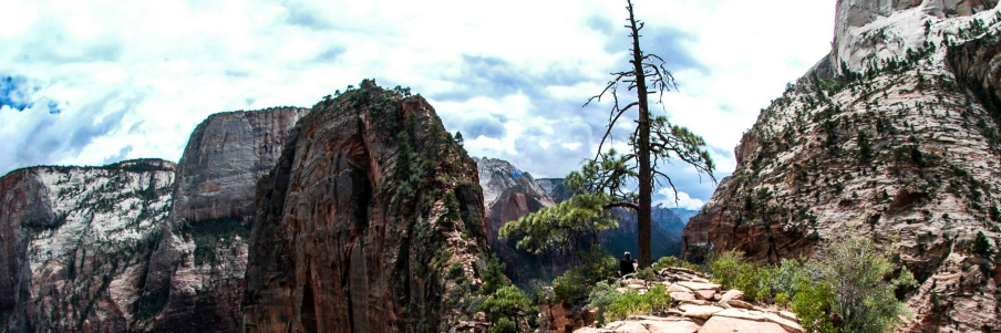 Alexandra (Alexa) Cerf banner