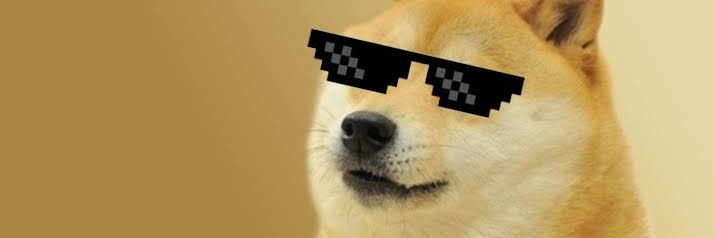 thepiddapid's profile banner image