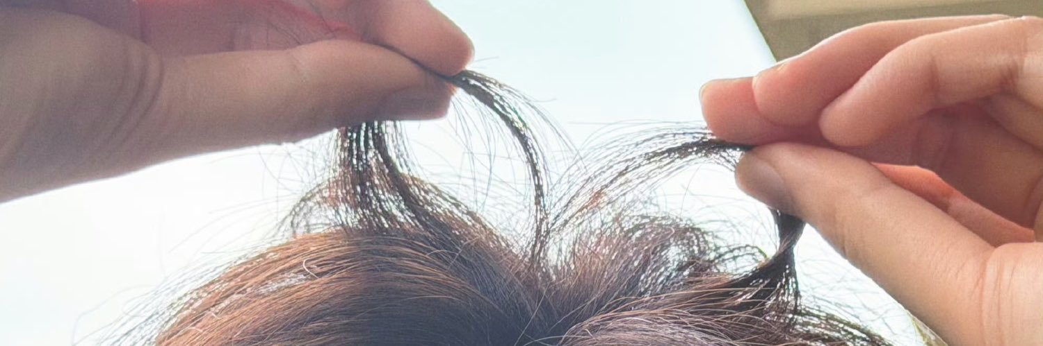✩ banner