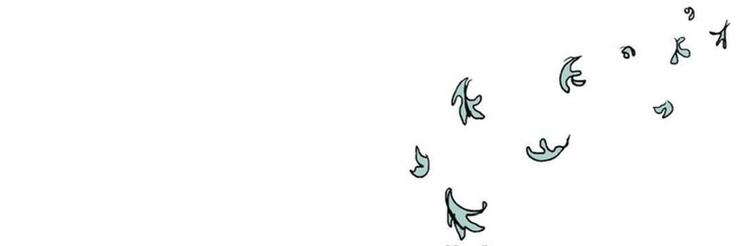 ✩ banner
