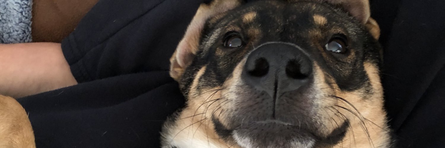 Thompsar0's profile banner image
