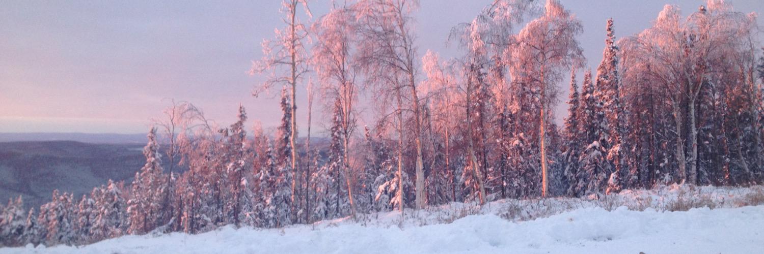 QuickM77's profile banner image