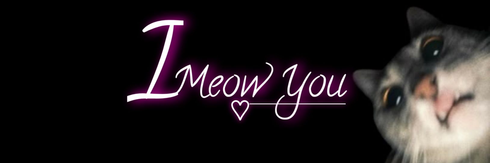 Miu ✦'s banner