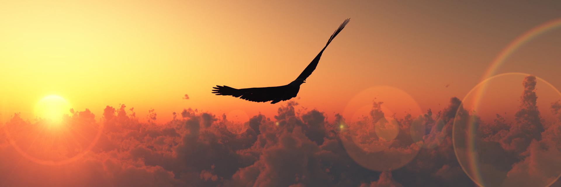 Flia_Leonetti's profile banner image