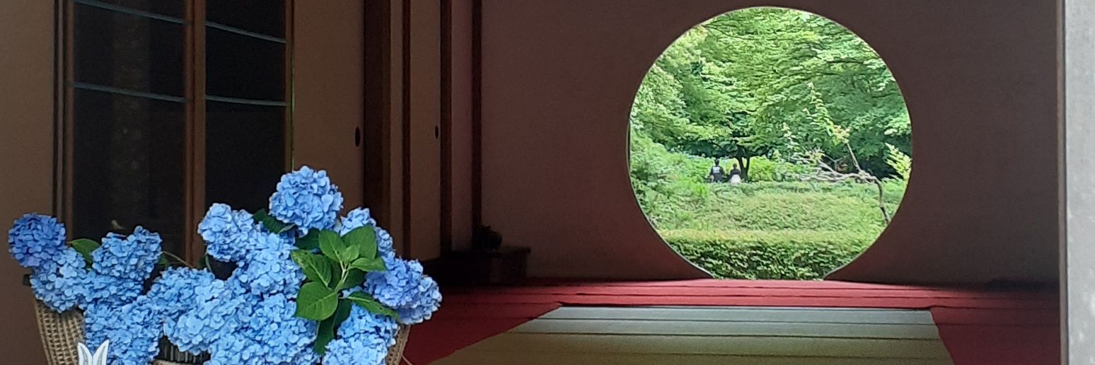 toro6neko's profile banner image