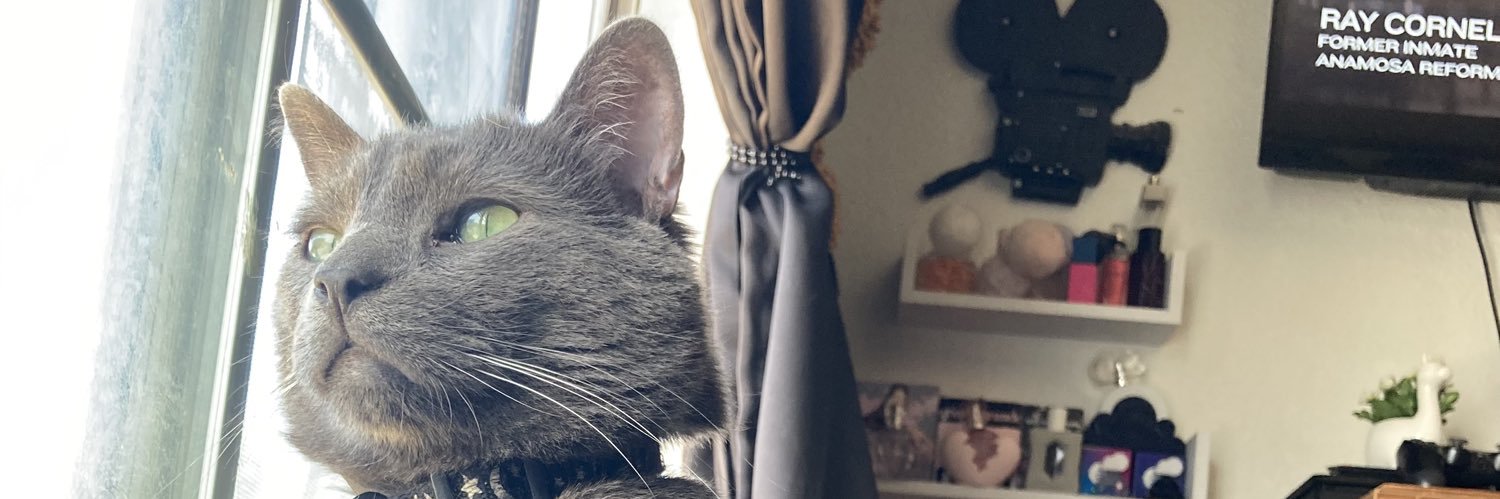 _kiwicat_'s profile banner image