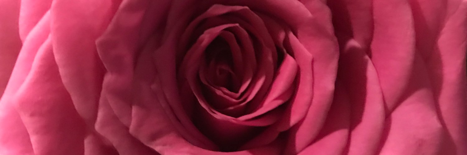 BrookeSustrin's profile banner image