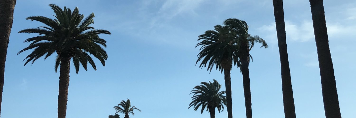 TheTrueTStew's profile banner image